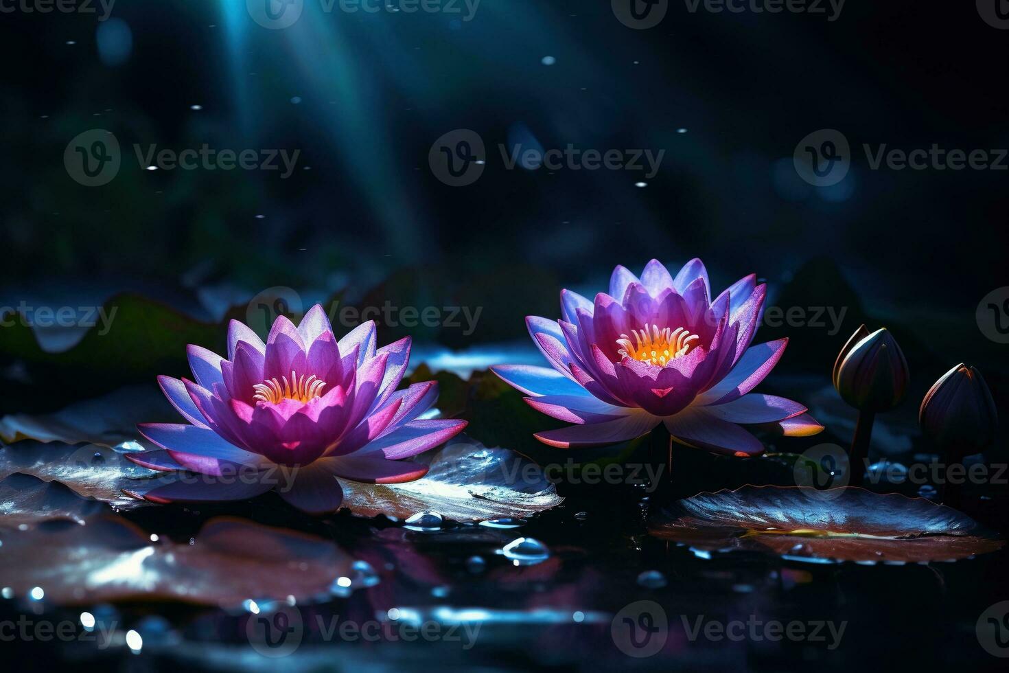 Beautiful pink water lily or lotus flower on dark background AI Generated photo