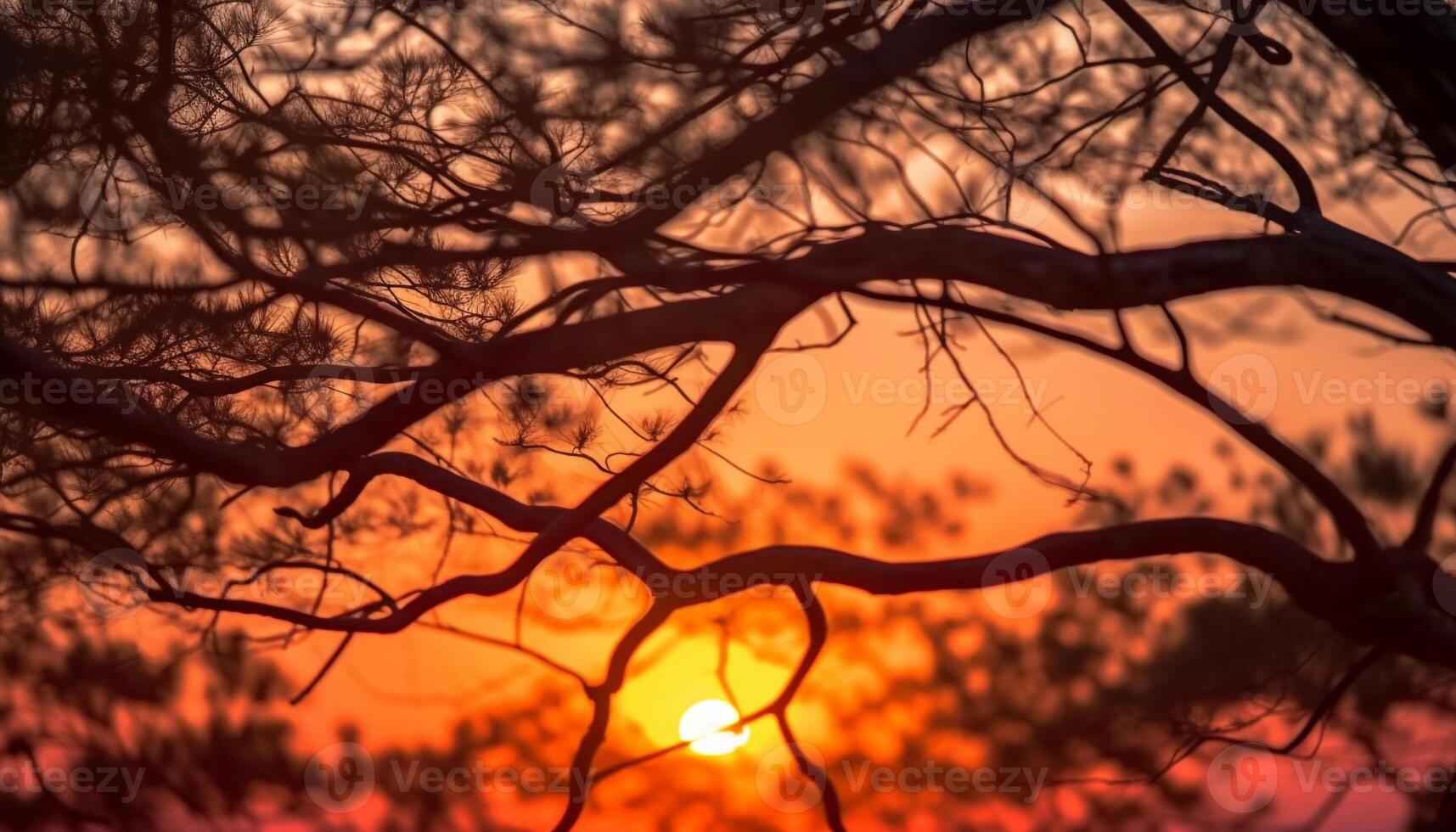 Silhouette tree against vibrant sunset sky, nature tranquil beauty generated by AI photo