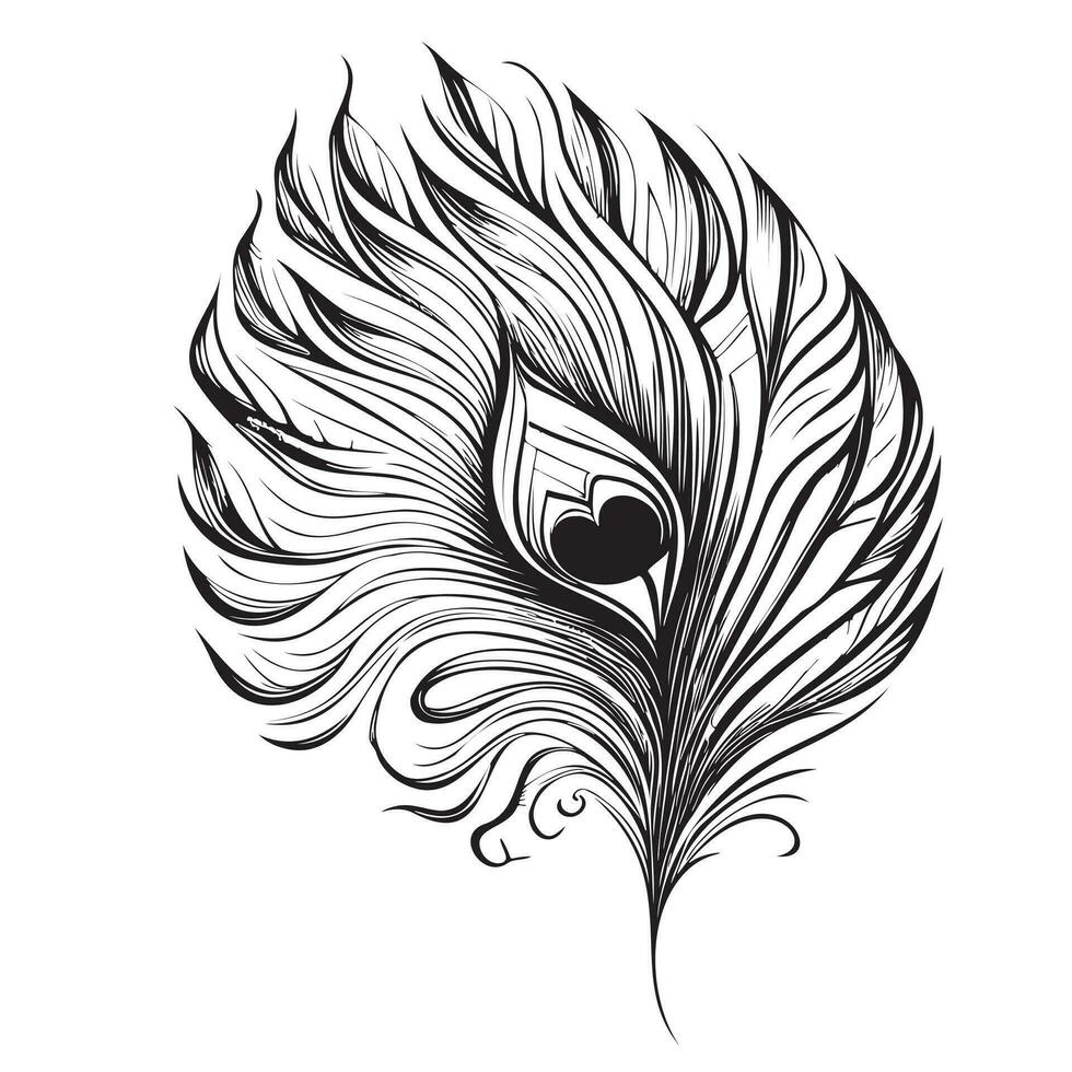 Peacock feather hand drawn sketch illustration Beautiful birds vector