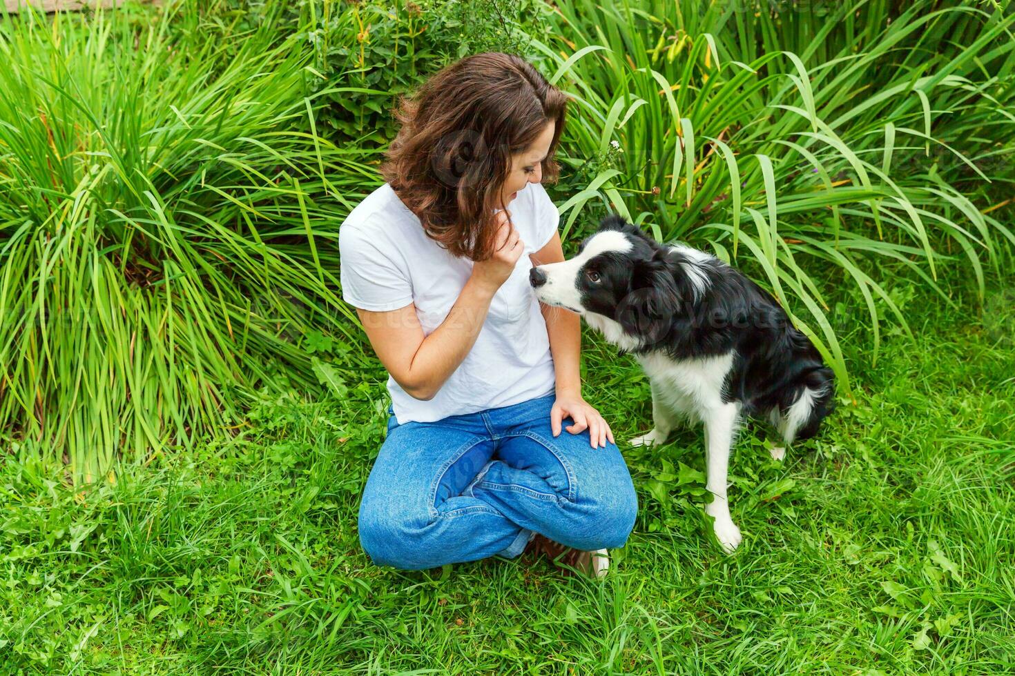 una joven y atractiva mujer sonriente jugando con un lindo cachorro border collie en el jardín de verano o en el parque de la ciudad al aire libre. truco de entrenamiento de chicas con un amigo perro. cuidado de mascotas y concepto de animales. foto