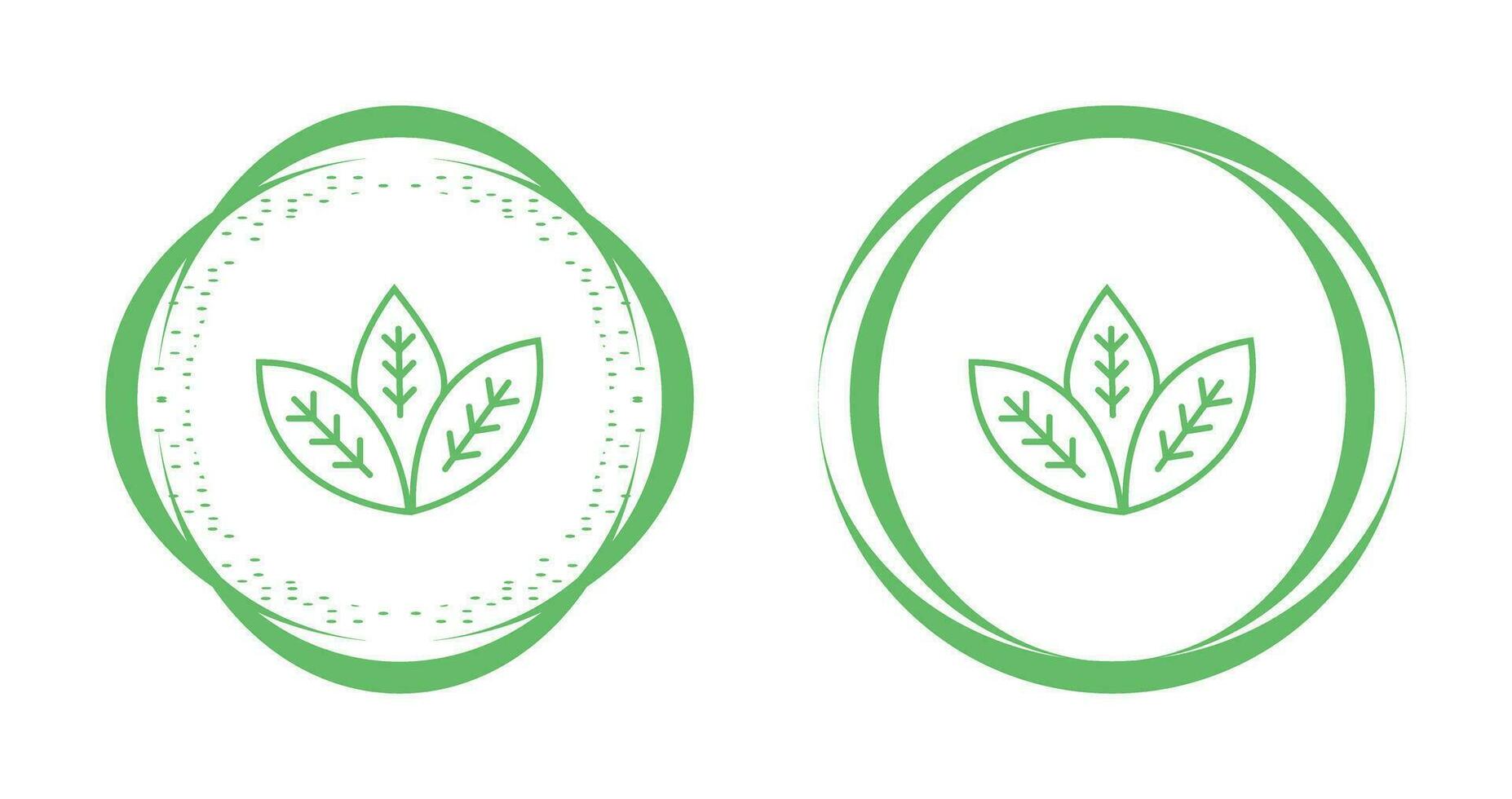 Spearmint Vector Icon