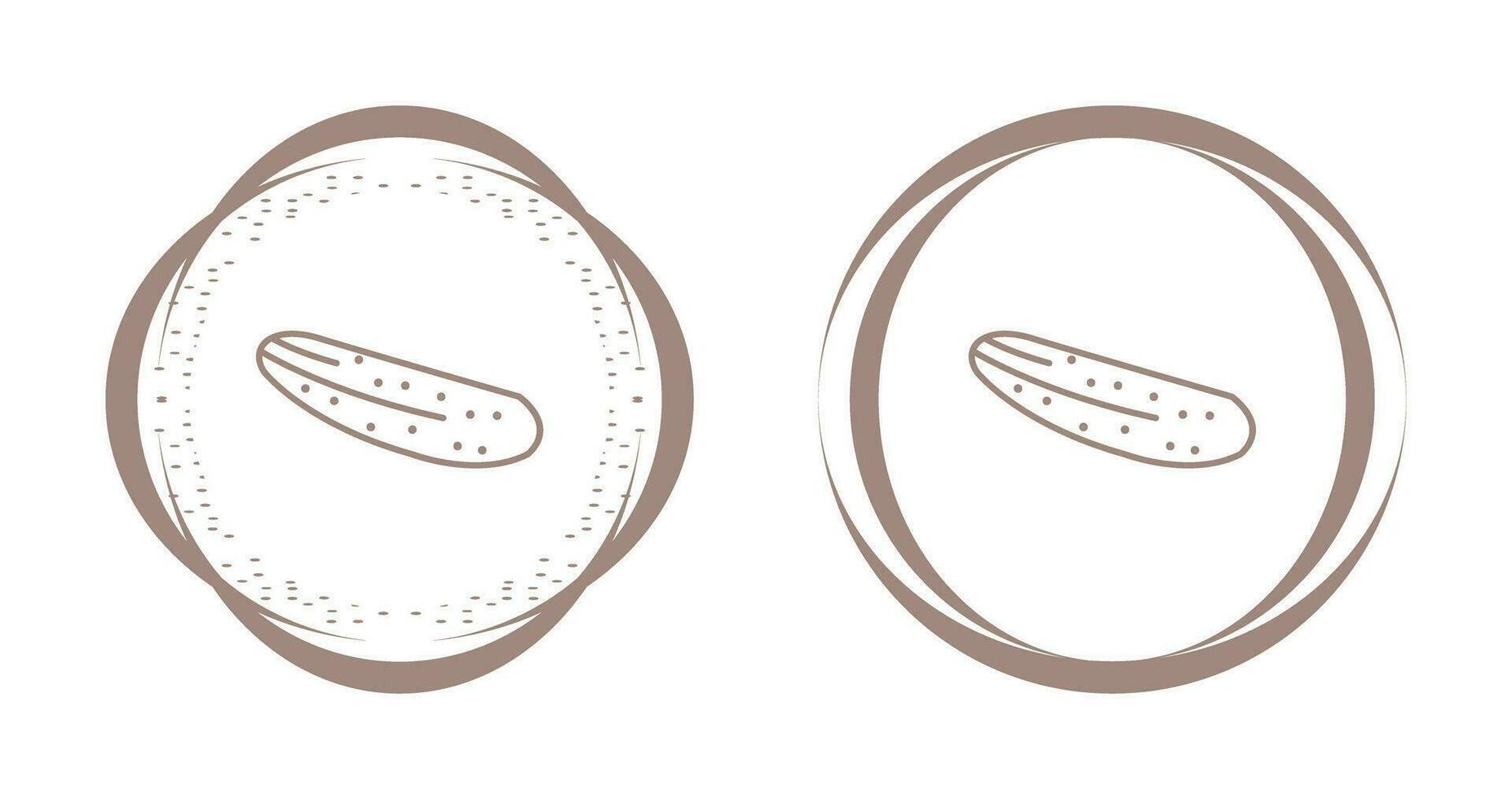 Cucumber Vector Icon