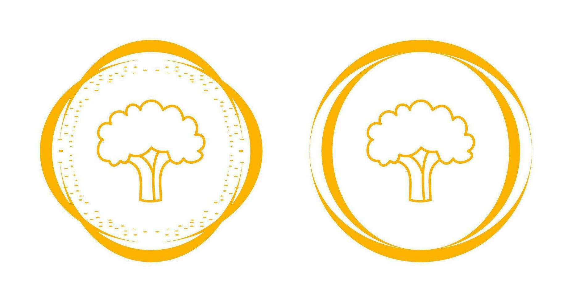 Cauliflower Vector Icon