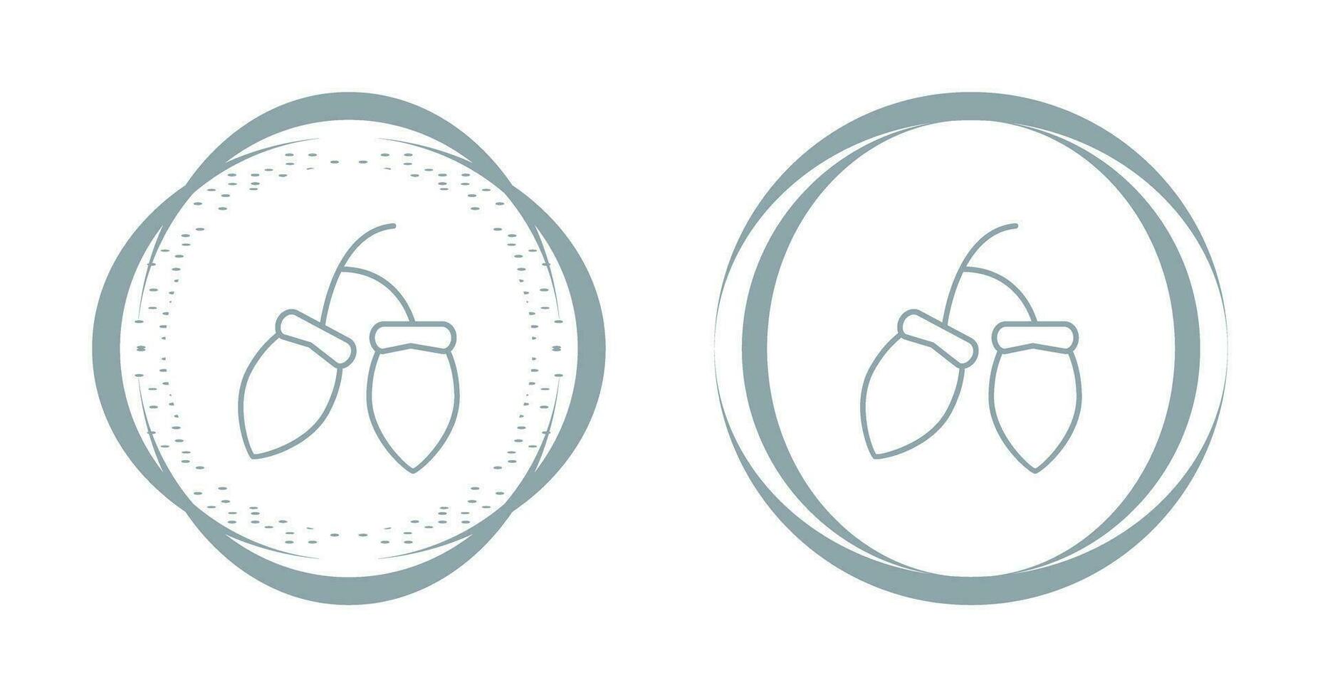 Acorns Vector Icon