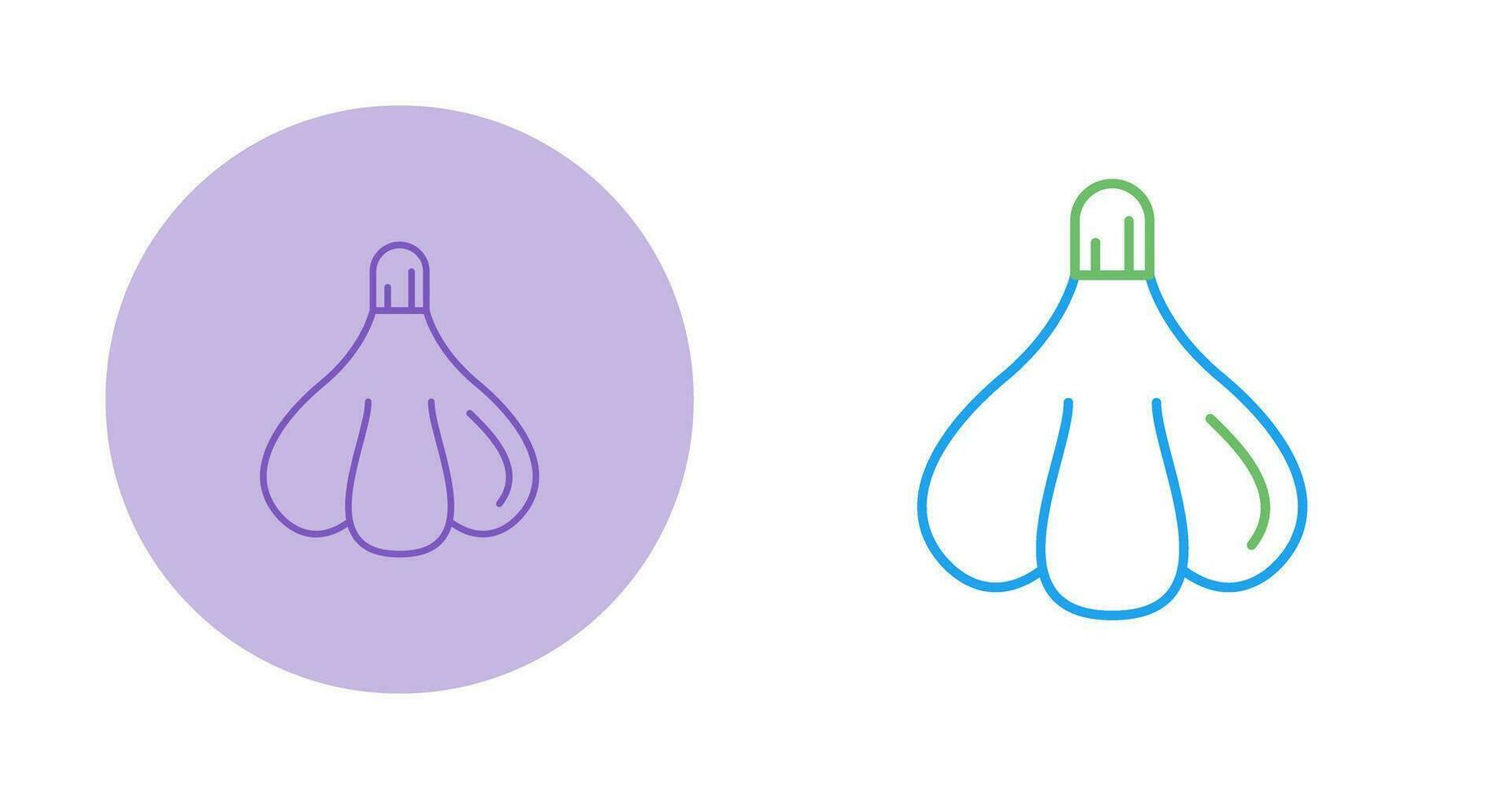 Garlic Vector Icon