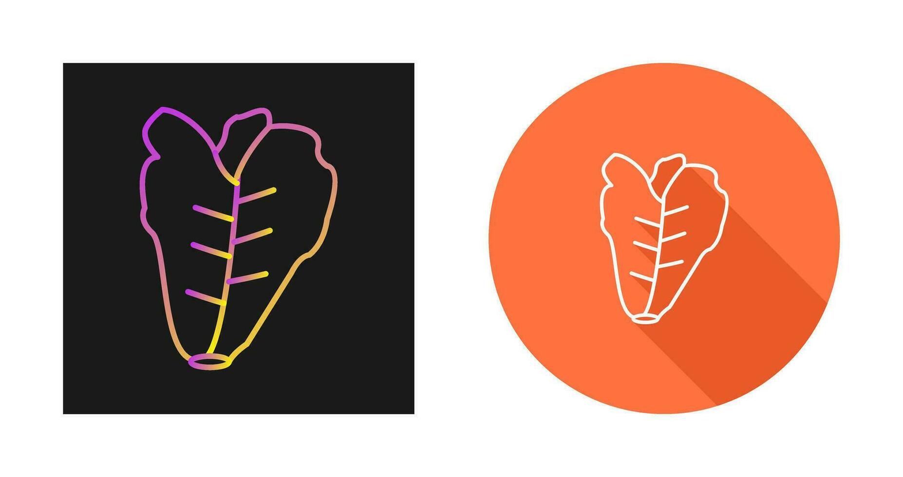 Lettuce Vector Icon