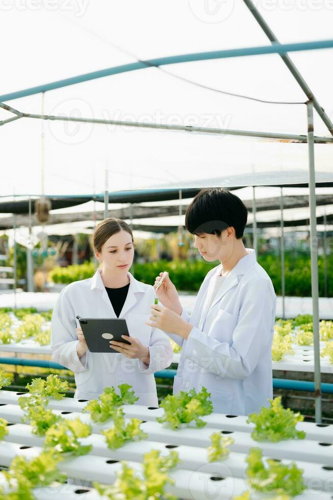 Researcher team in white uniform are checking with ph strips in hydroponic farm and pH level scale graphic, science laboratory greenhouse concept. photo