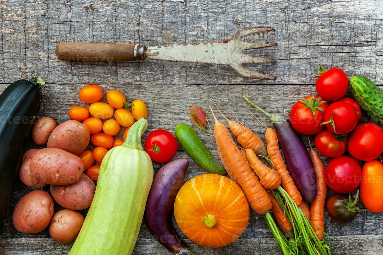 Assortment different fresh organic vegetables and gardening tools on country style wooden background. Healthy food vegan vegetarian eating dieting concept. Local garden produce clean food. photo