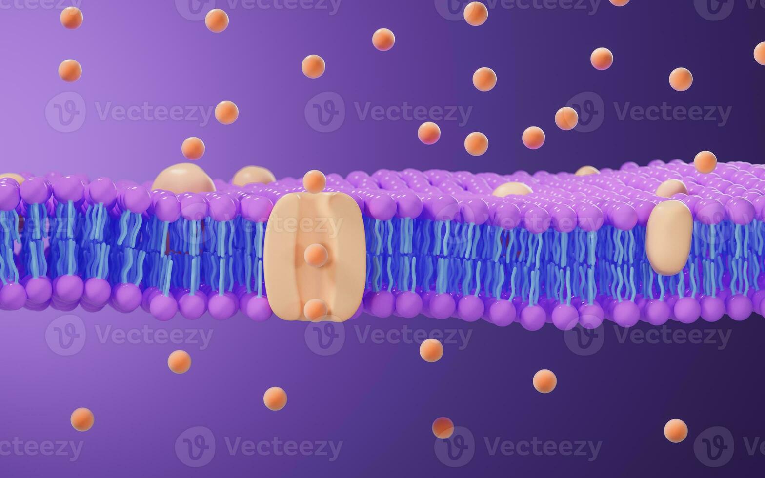 Cell membrane structure background, 3d rendering. photo