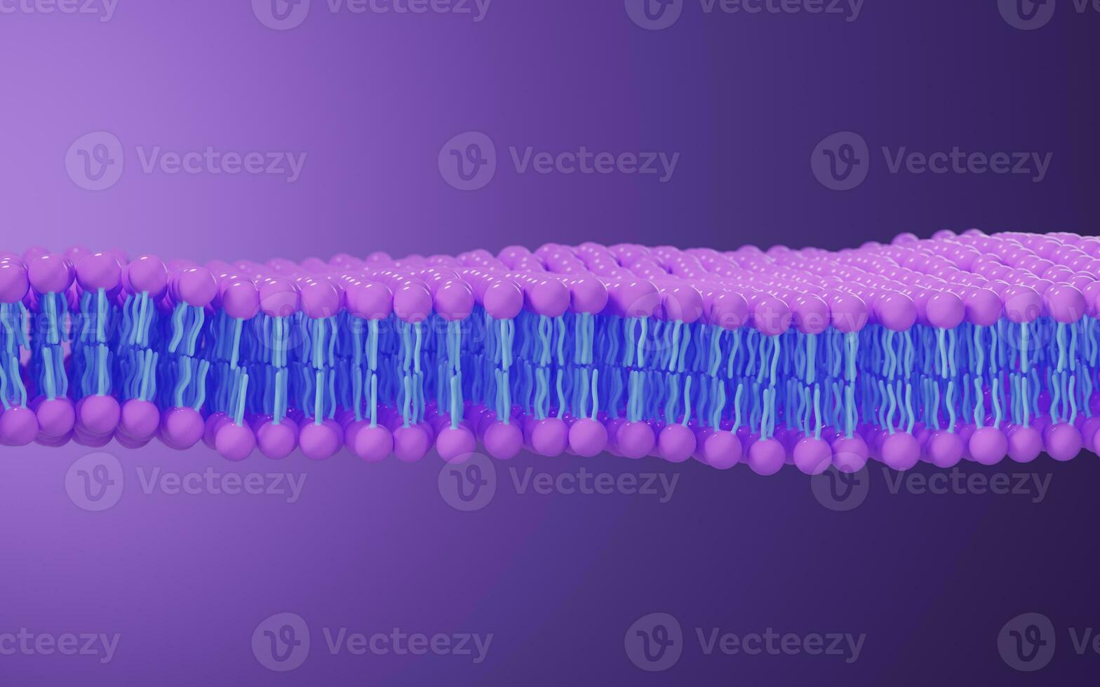 Cell membrane structure background, 3d rendering. photo