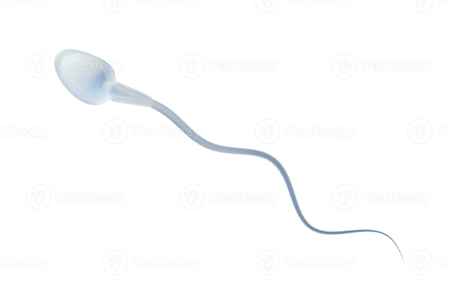 Sperm cell with biology concept, 3d rendering. photo