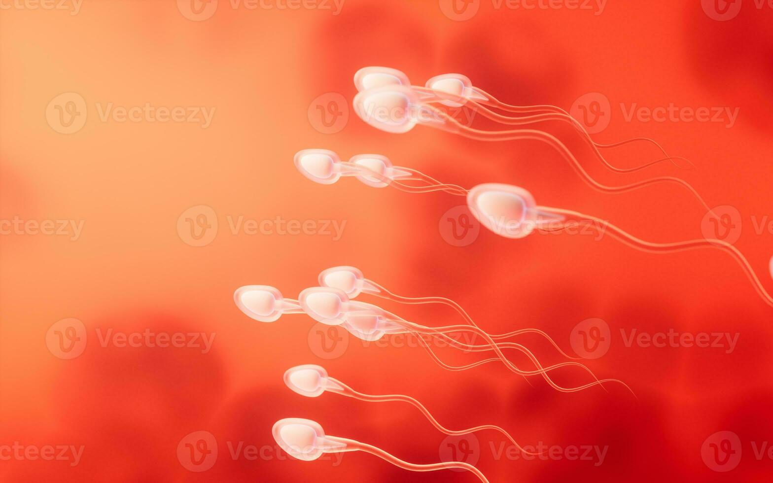 Human sperm cells, 3d rendering. photo