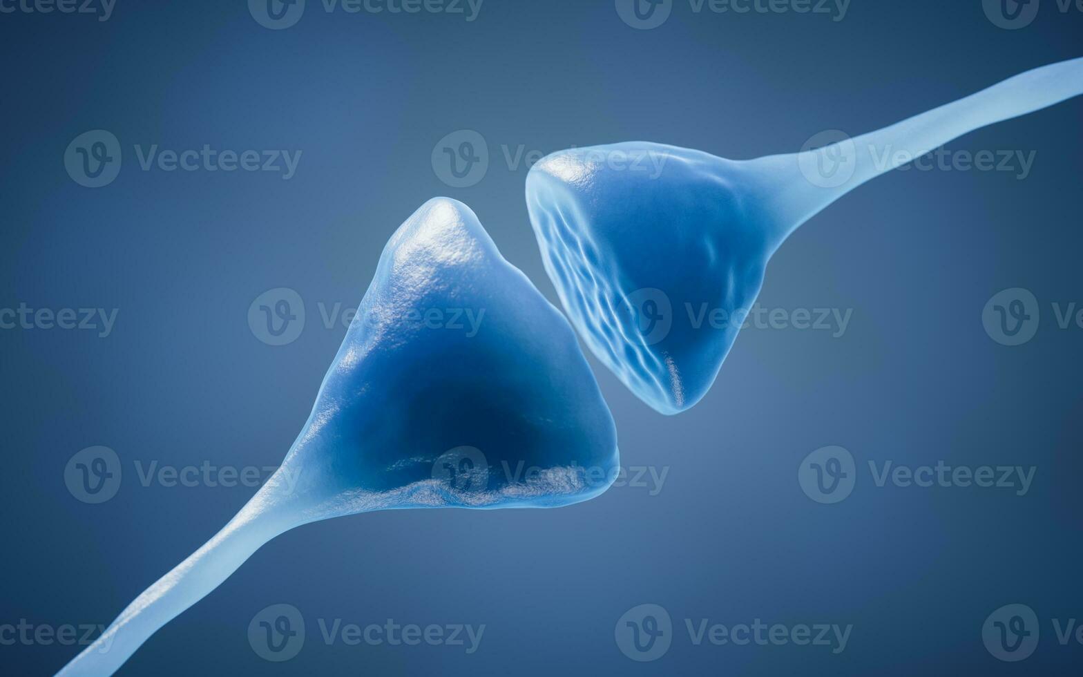 Synapse of neuron cell, biology concept, 3d rendering. photo
