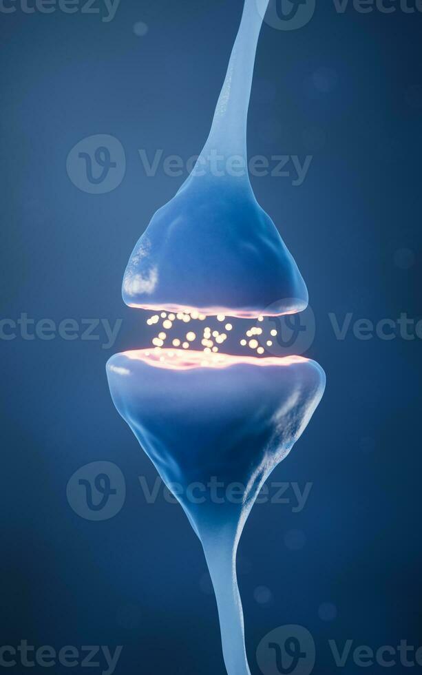 Synapse of neuron cell, biology concept, 3d rendering. photo