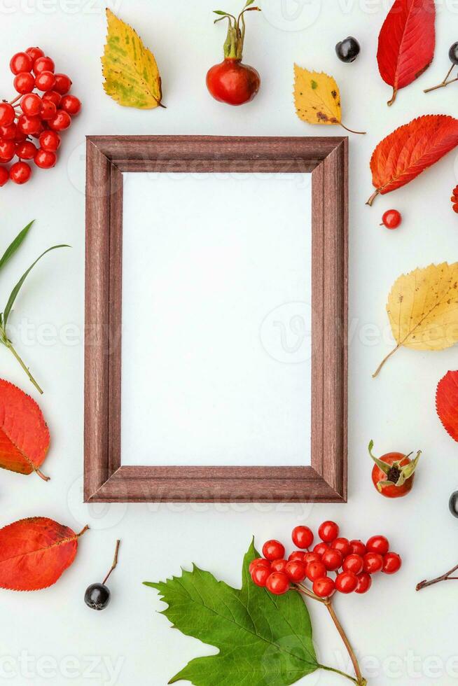 Autumn floral composition. Vertical frame mockup chokeberry rowan berries colorful leaves dogrose flowers on white background. Fall natural plants ecology concept. Flat lay top view, copy space photo