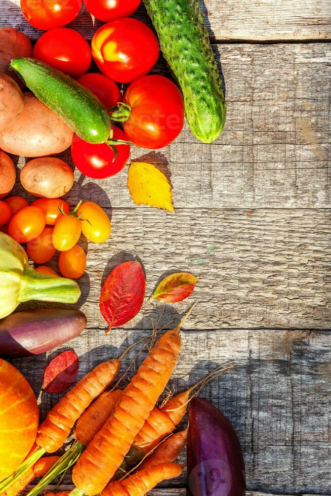 Assortment different fresh organic vegetables on country style wooden background. Healthy food vegan vegetarian dieting concept. Local garden produce clean food. Frame top view flat lay copy space. photo