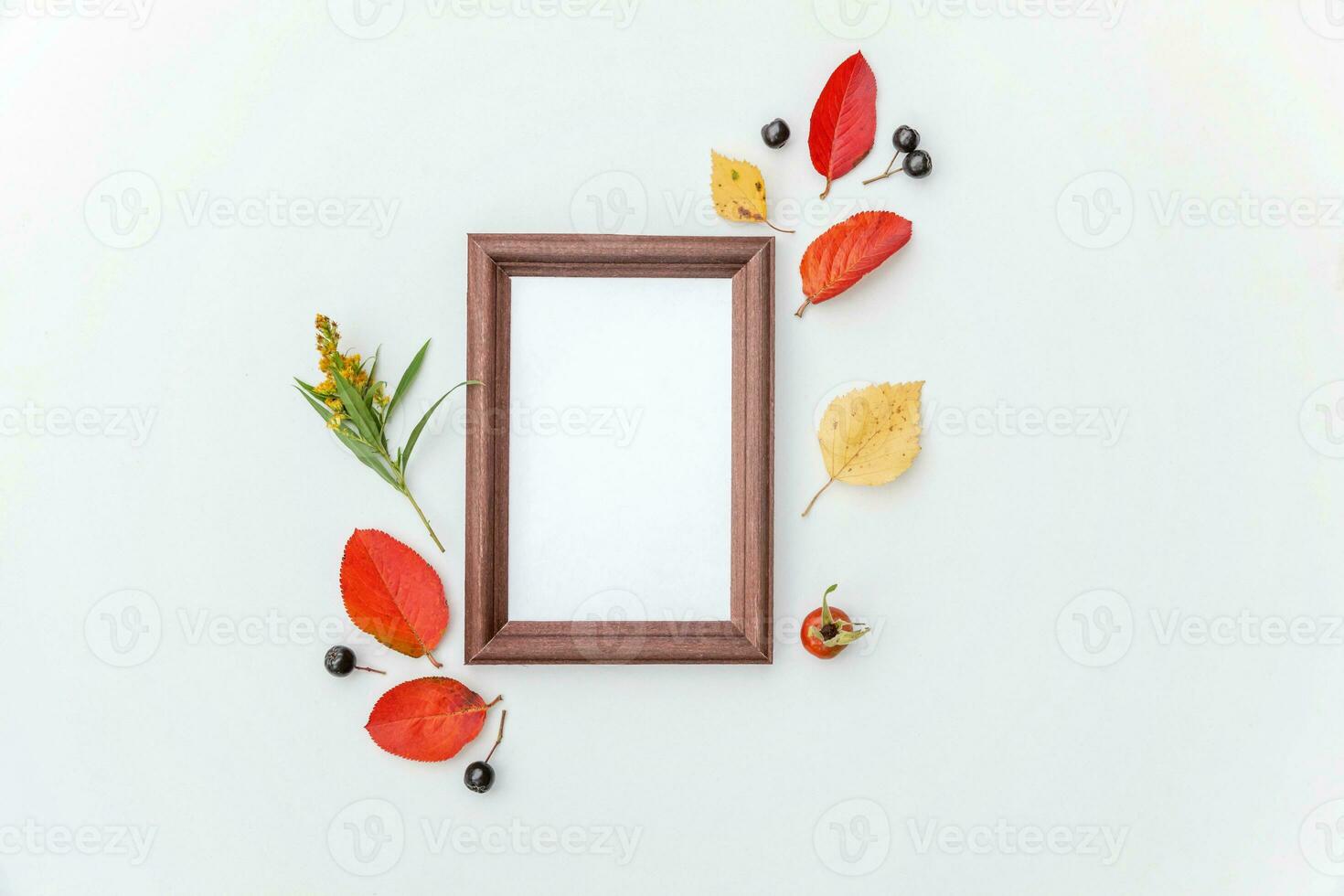 Autumn floral composition. Vertical frame mockup chokeberry rowan berries colorful leaves dogrose flowers on white background. Fall natural plants ecology concept. Flat lay top view, copy space photo