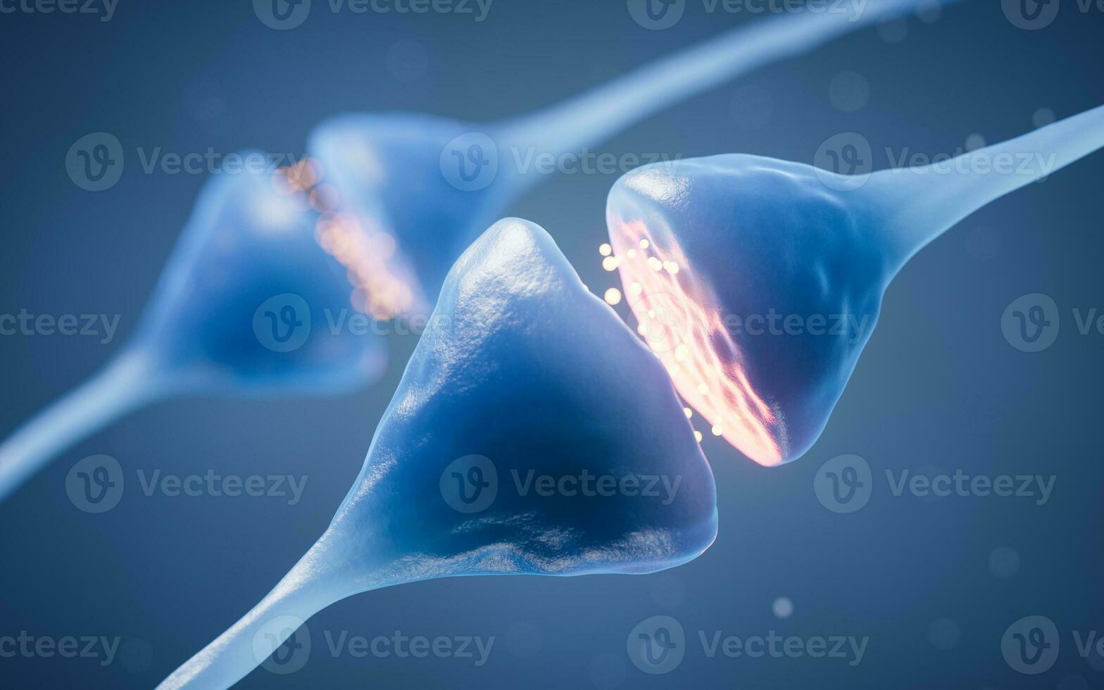 Synapse of neuron cell, biology concept, 3d rendering. photo