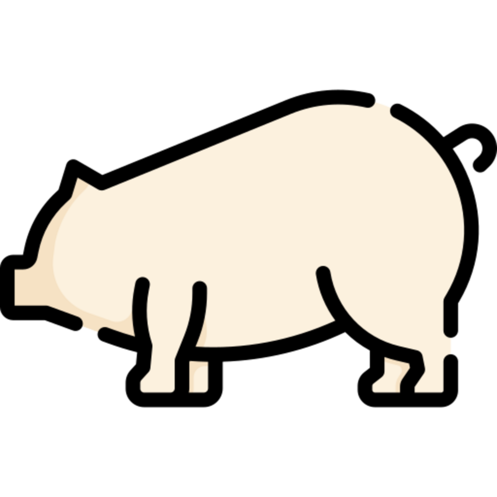 Pig illustration design png