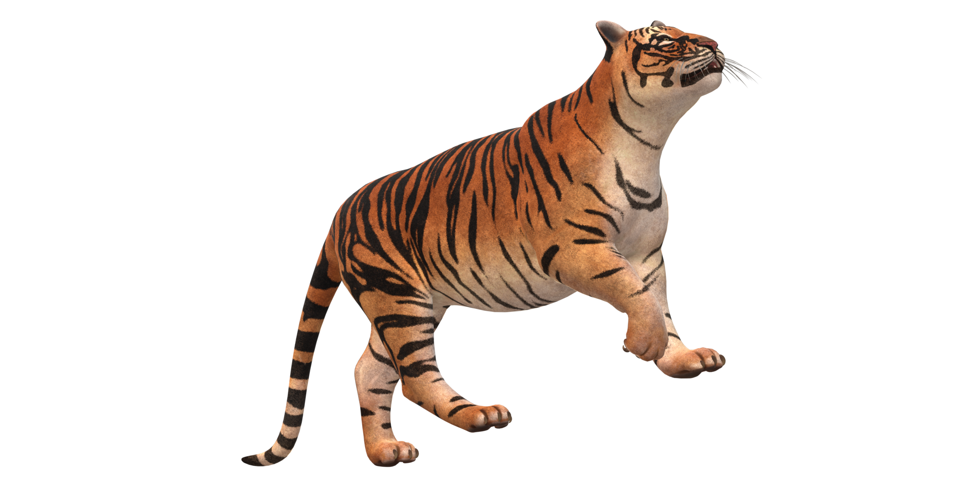 Tigre aislado en un transparente antecedentes png