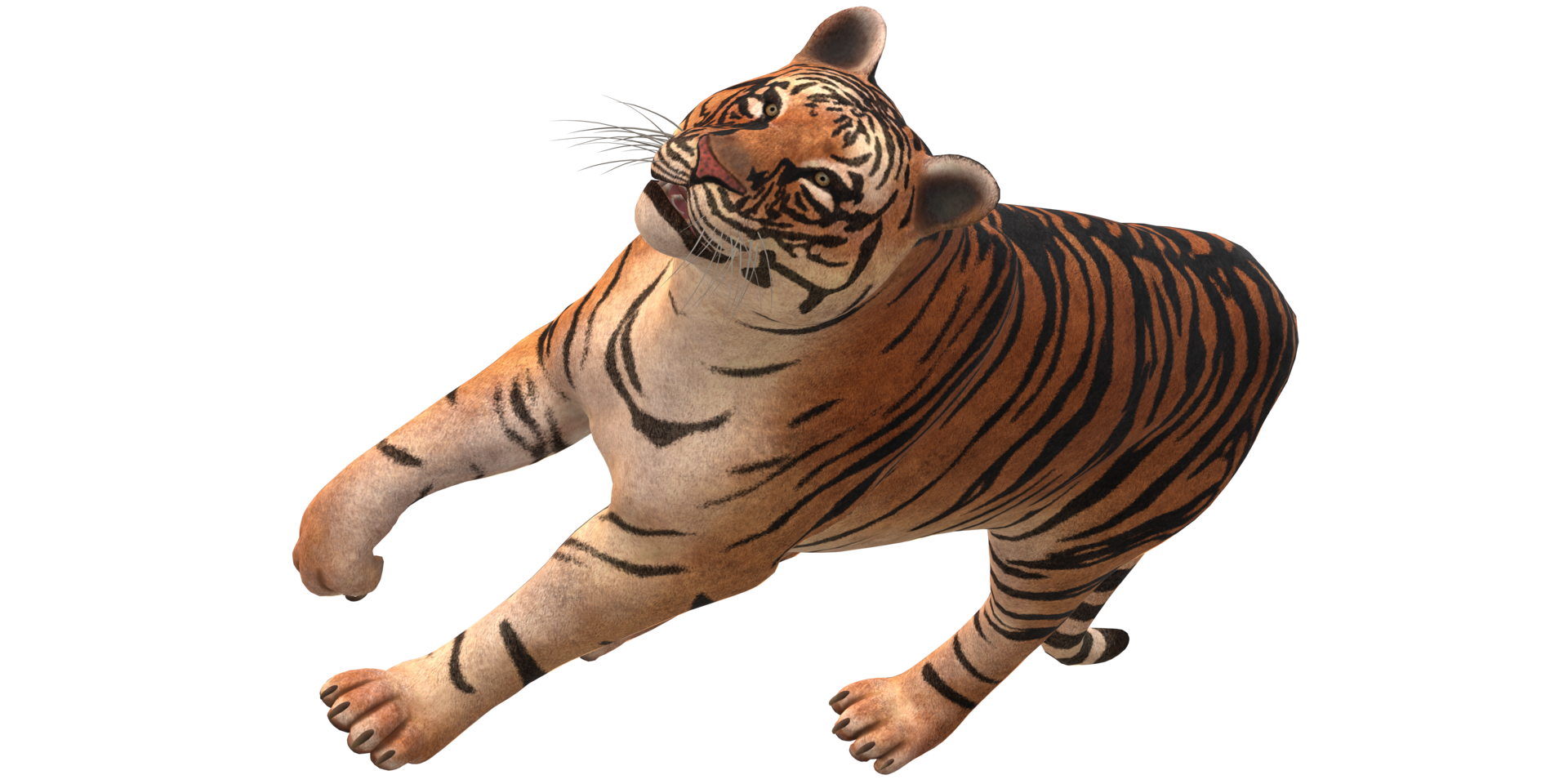 Tigre aislado en un transparente antecedentes png