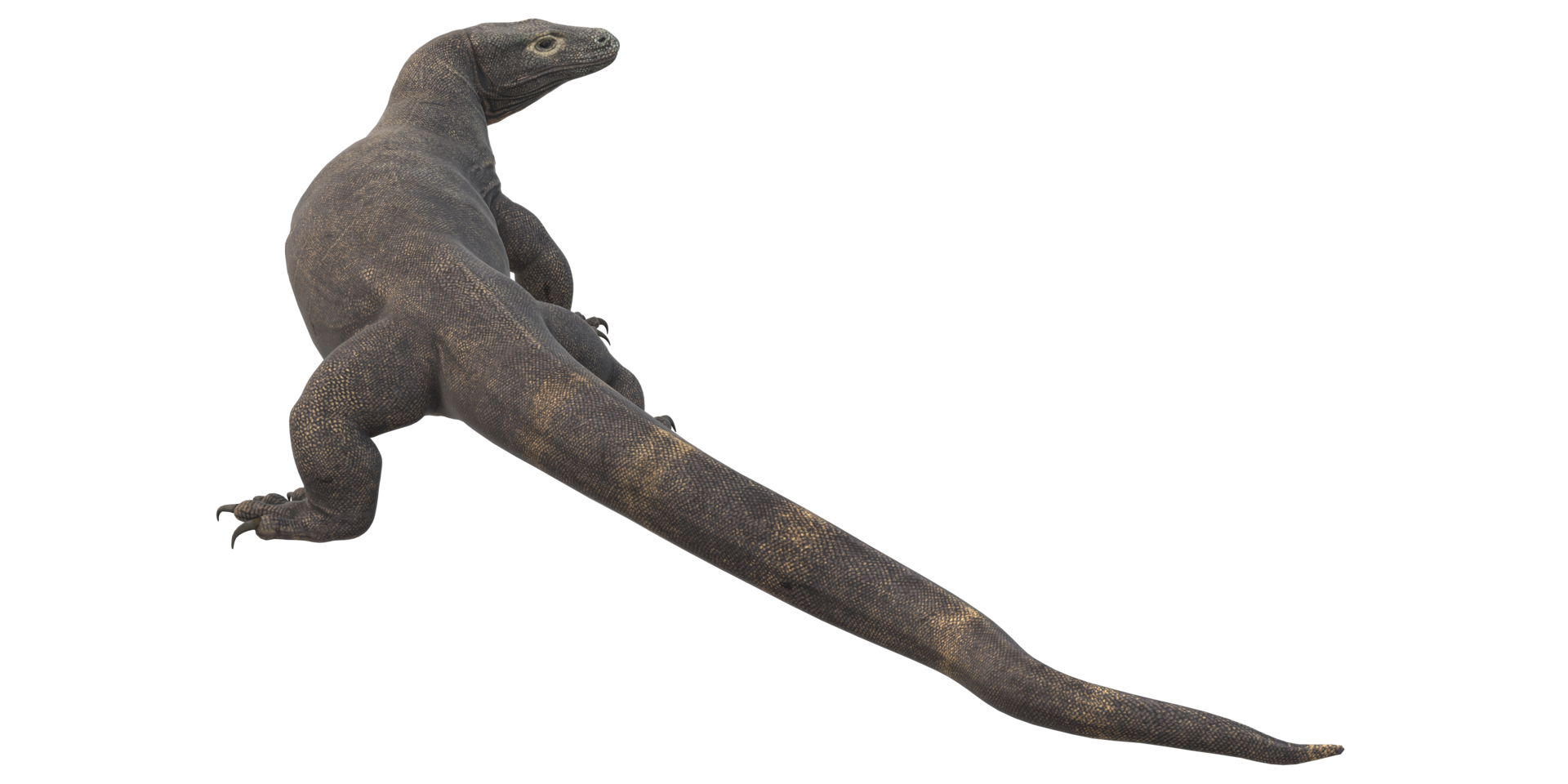 Comodo Dragon isolated on  a Transparent Background png