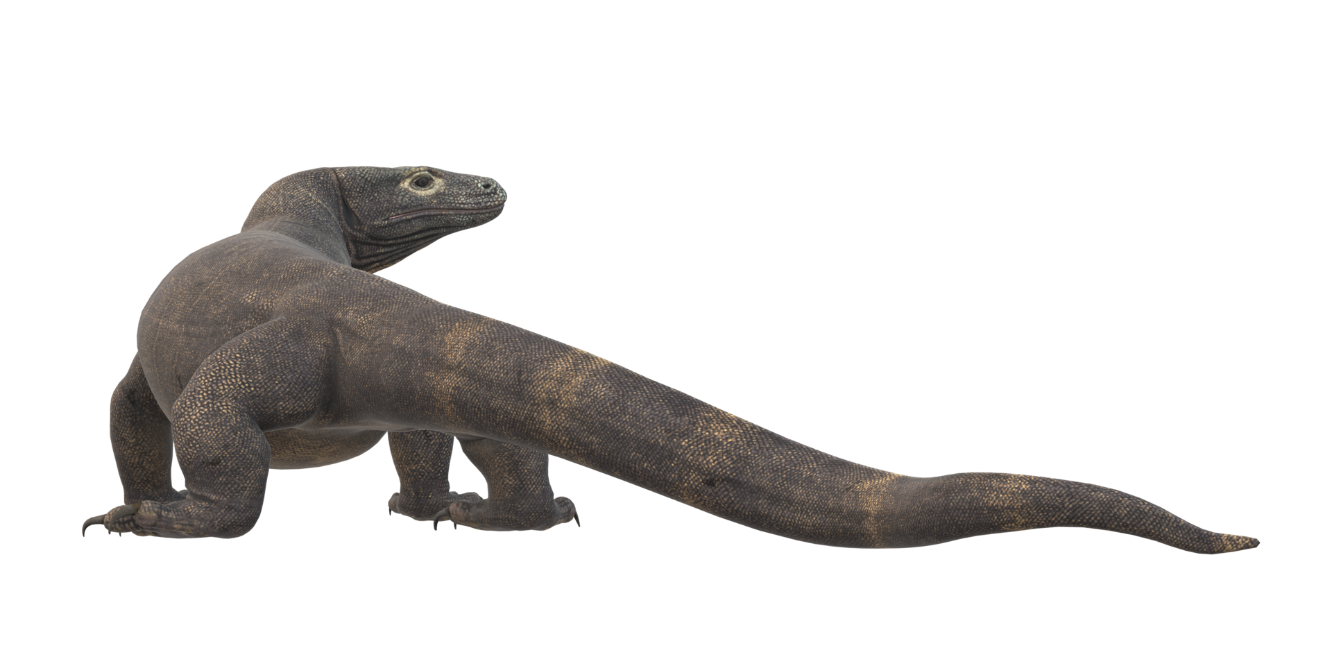 comodo dragon isolé sur une transparent Contexte png