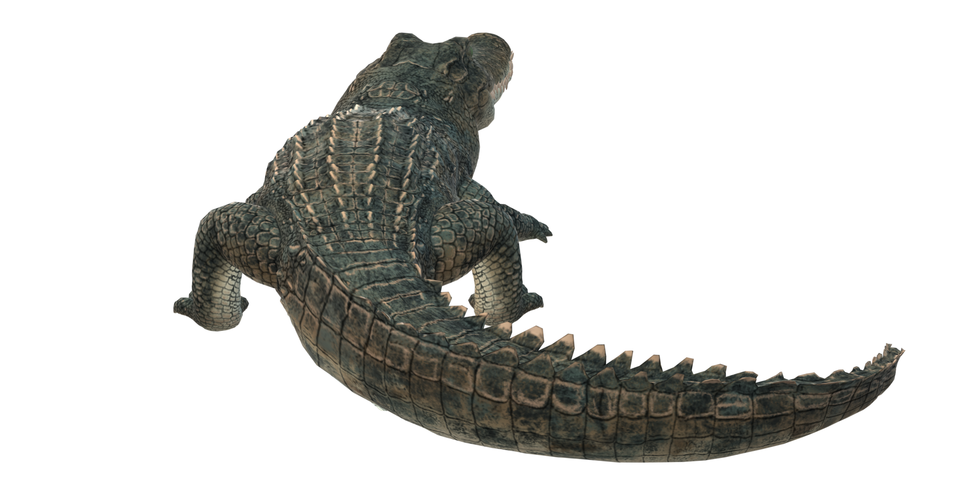 alligator isolerat på en transparent bakgrund png