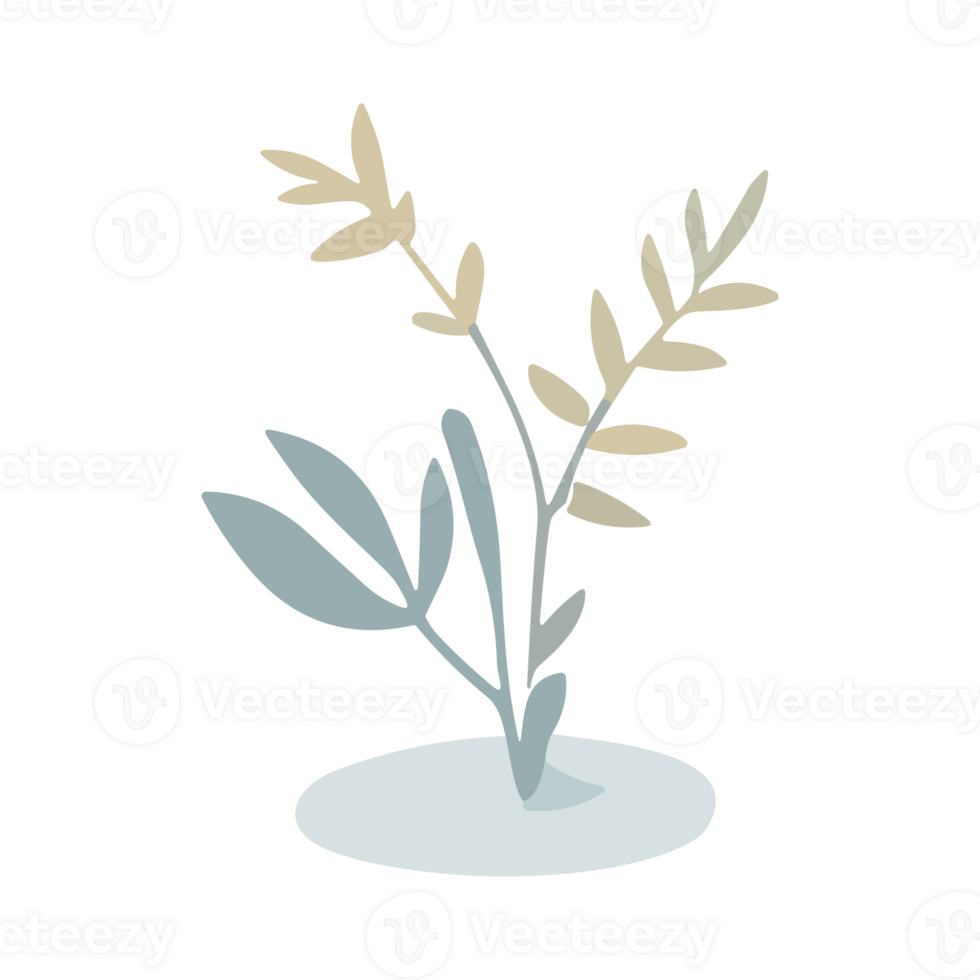 Olive branch with leaves. Illustration in trendy flat style. png