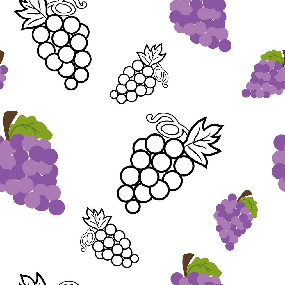 Grapes seamless patterrn on white background vector