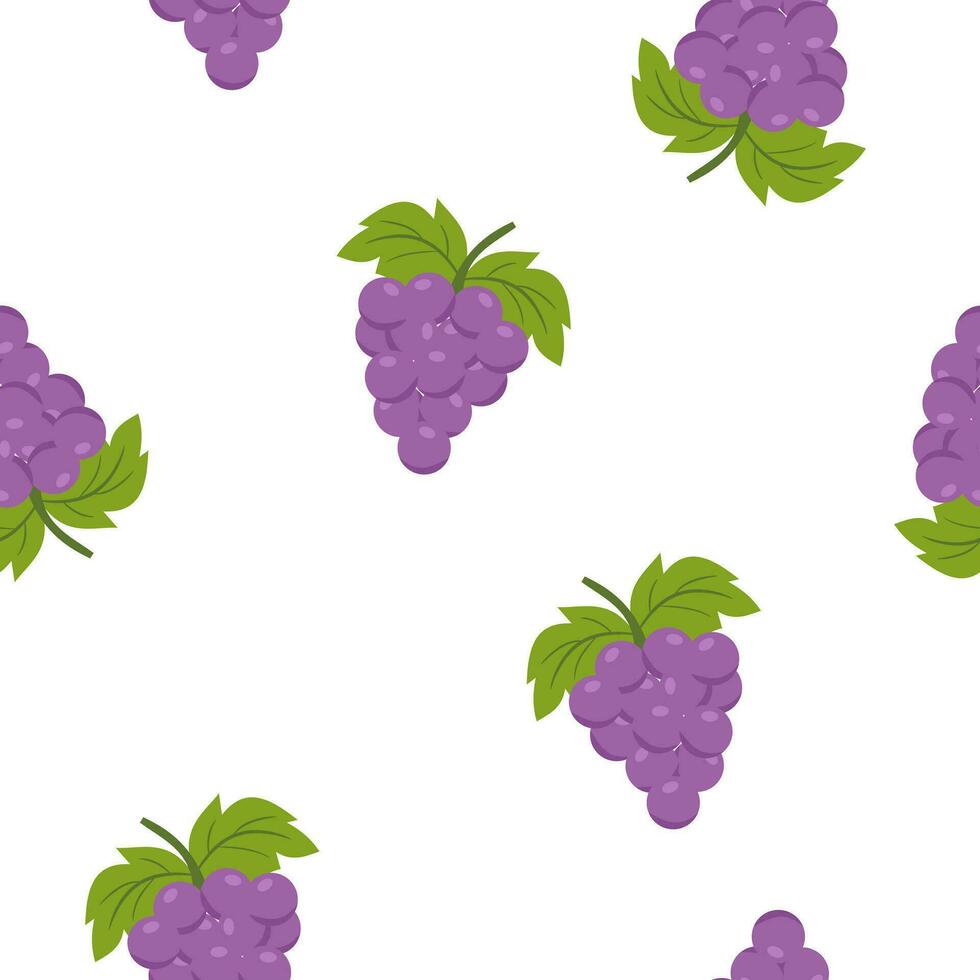 Grapes seamless patterrn on white background vector