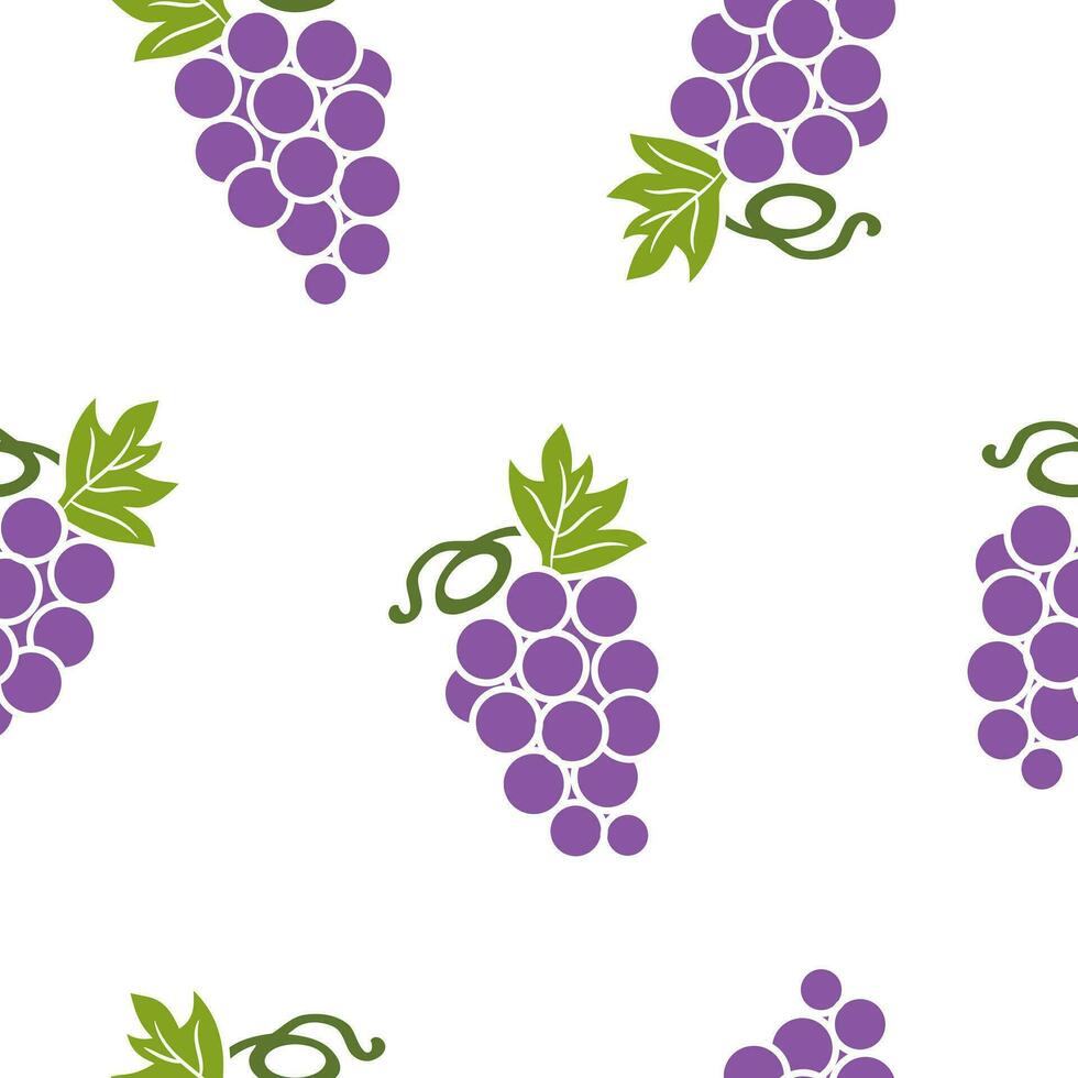 Beautiful seamless pattern Grapes fruit. Tropical fruit background vector