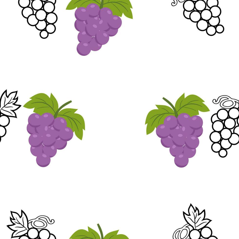 Grapes seamless patterrn on white background vector