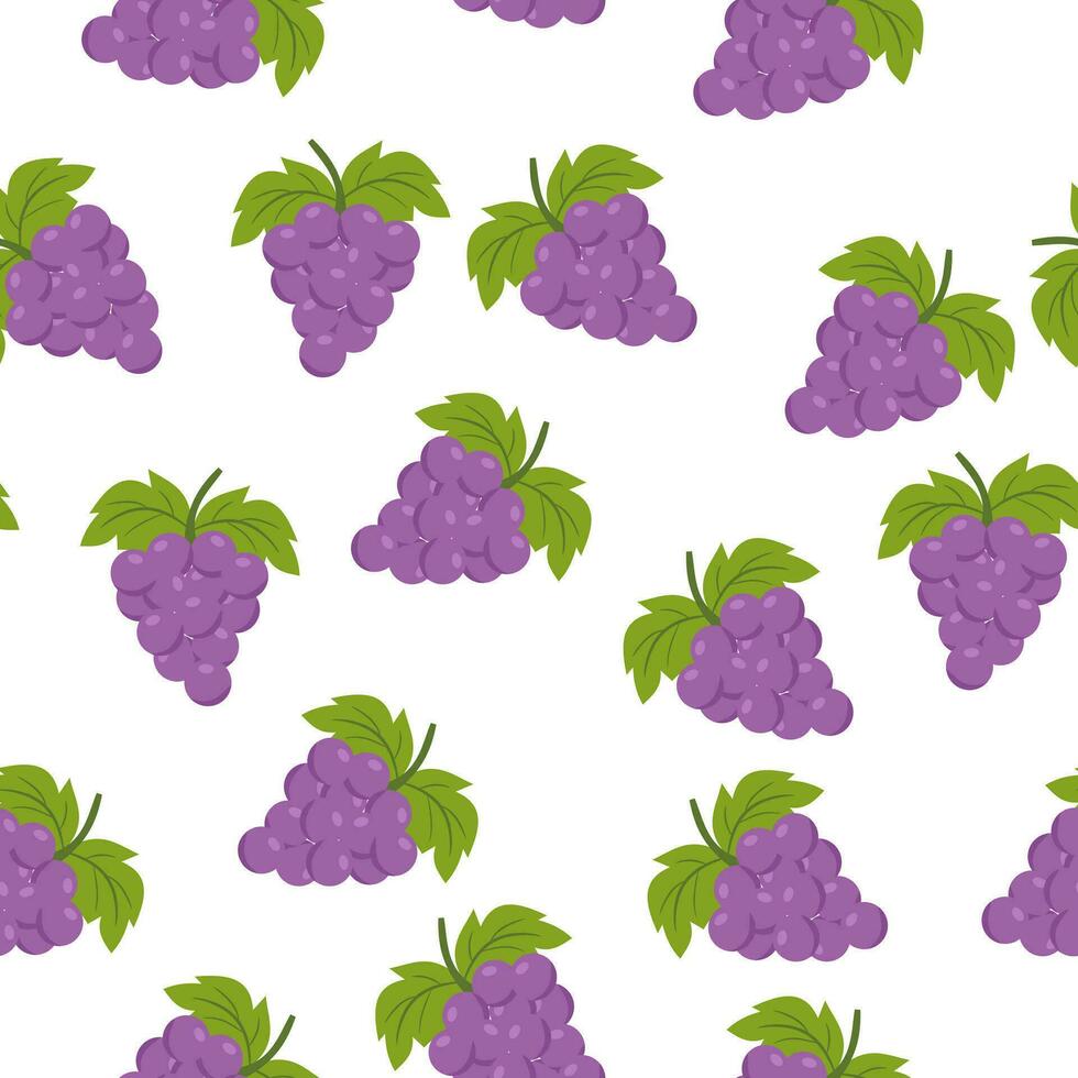 Beautiful seamless pattern Grapes fruit. Tropical fruit background vector