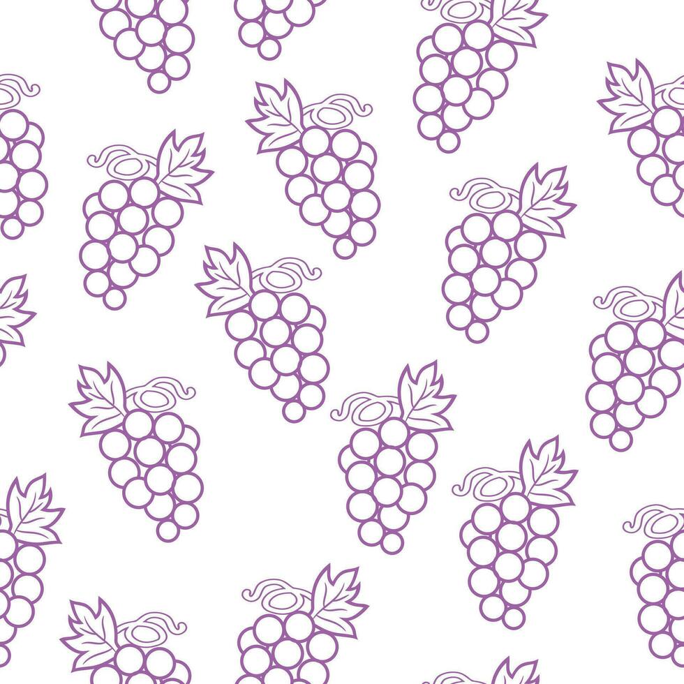 Beautiful seamless pattern Grapes fruit. Tropical fruit background vector