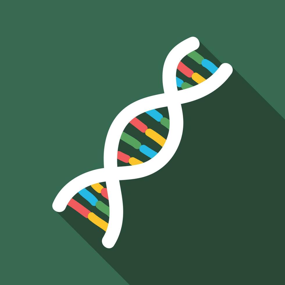 DNA flat icon with long shadow. DNA molecule structure Biology icon ...