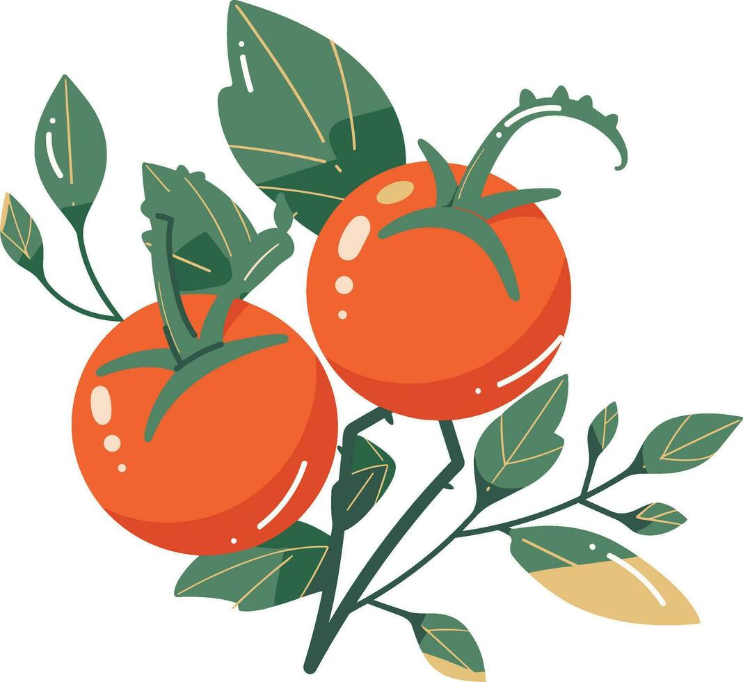 Hand Drawn tomatoes with twigs in flat style vector