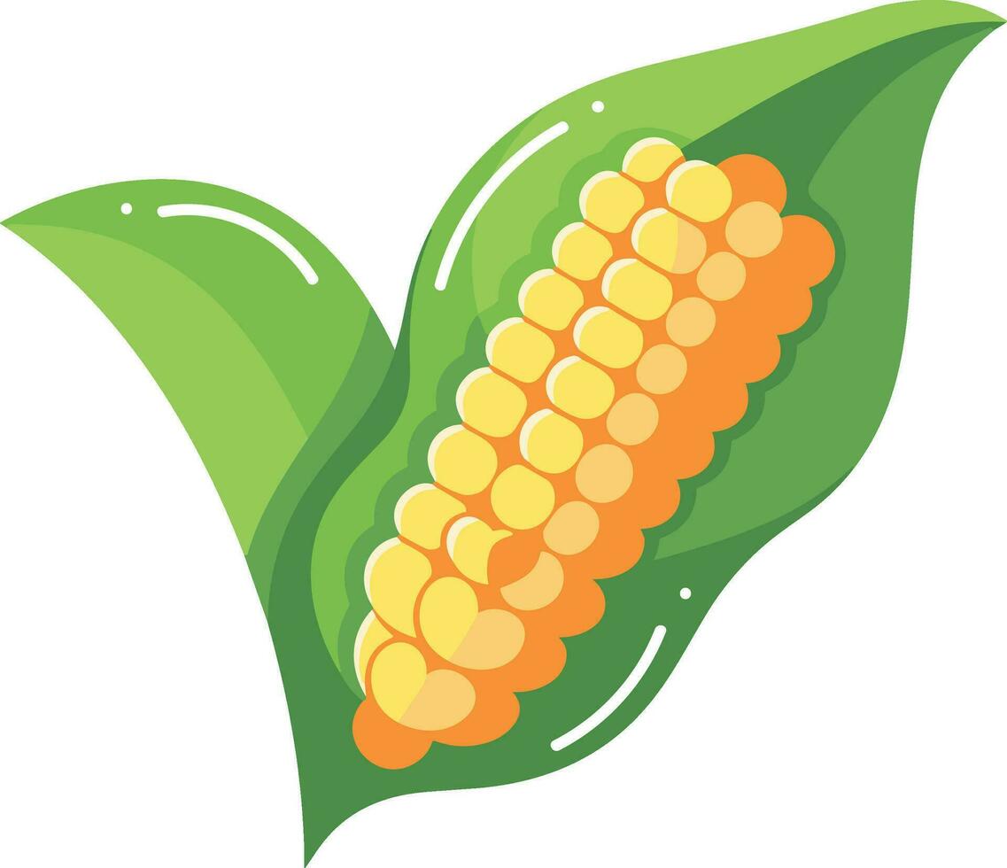 Hand Drawn Pod corn in flat style vector