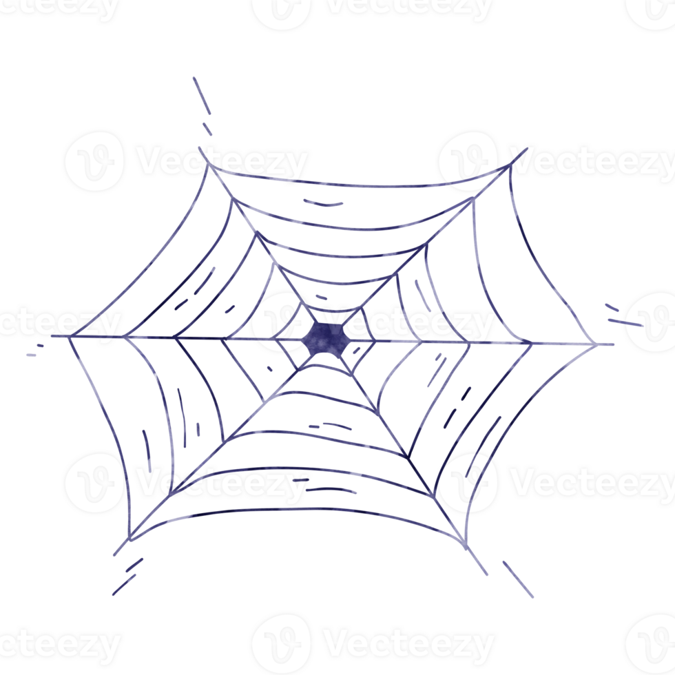 Spider web cartoon painting for decor png