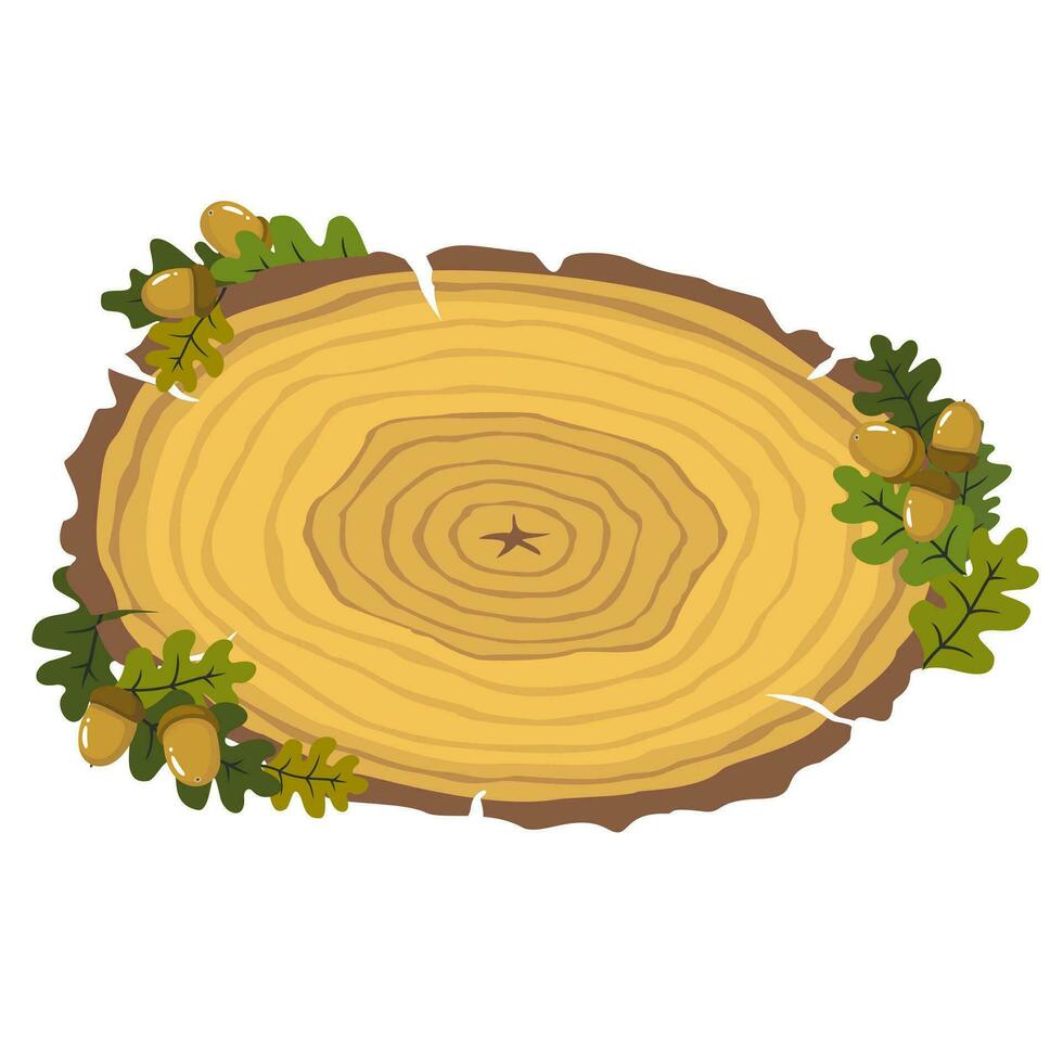 cortar abajo un roble árbol con anual anillos bellotas y roble hojas. ilustrado vector clipart.