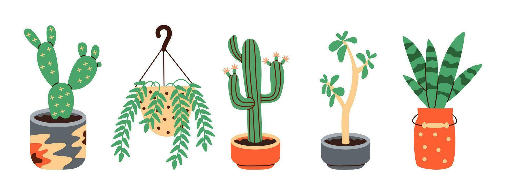 Succulents of various shapes, Potted plants, Cactus potted. Blooming cacti, popular house plants. Flat vector illustration.