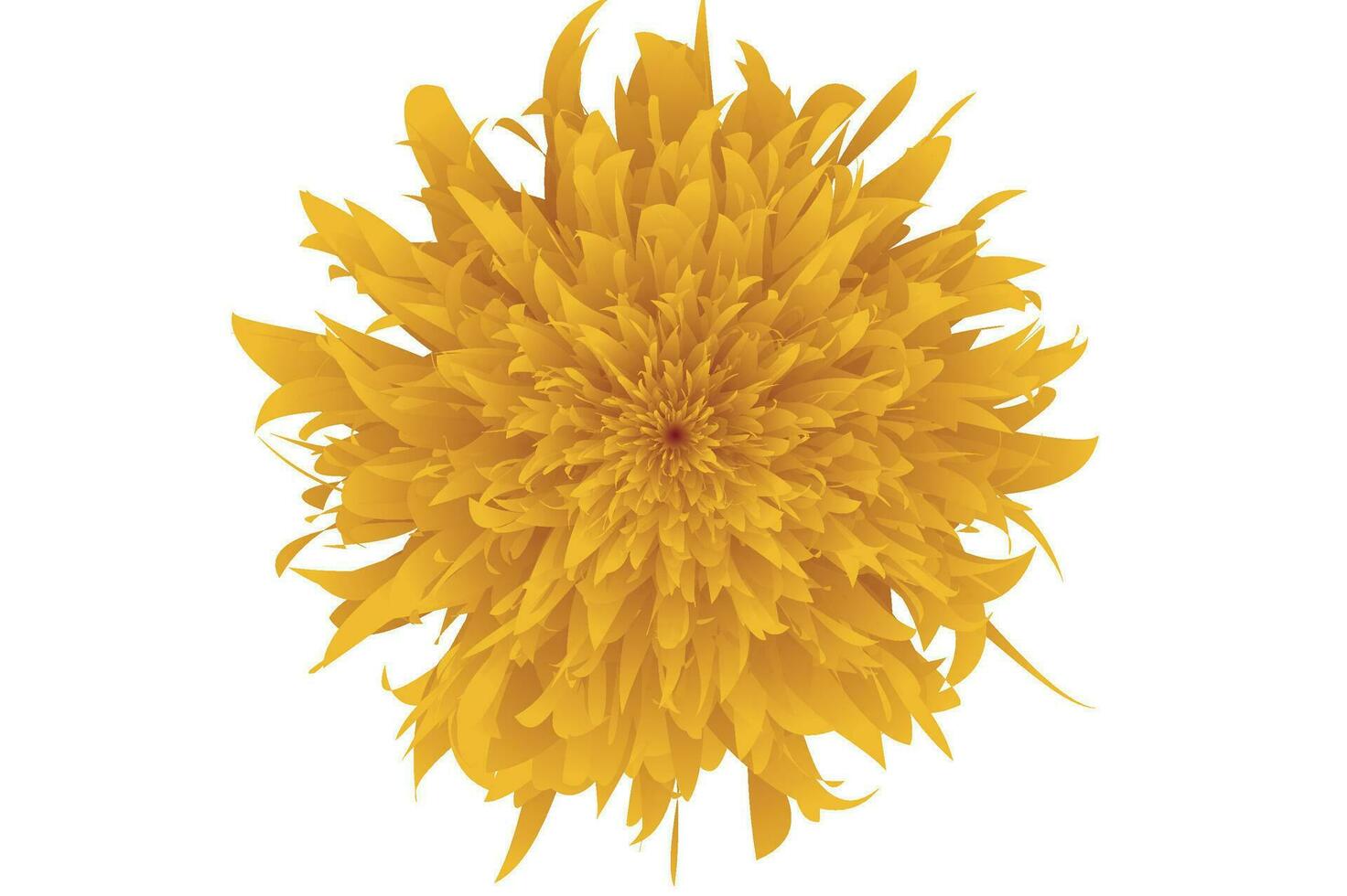 Flower Petal Vector Design With Transparent Background