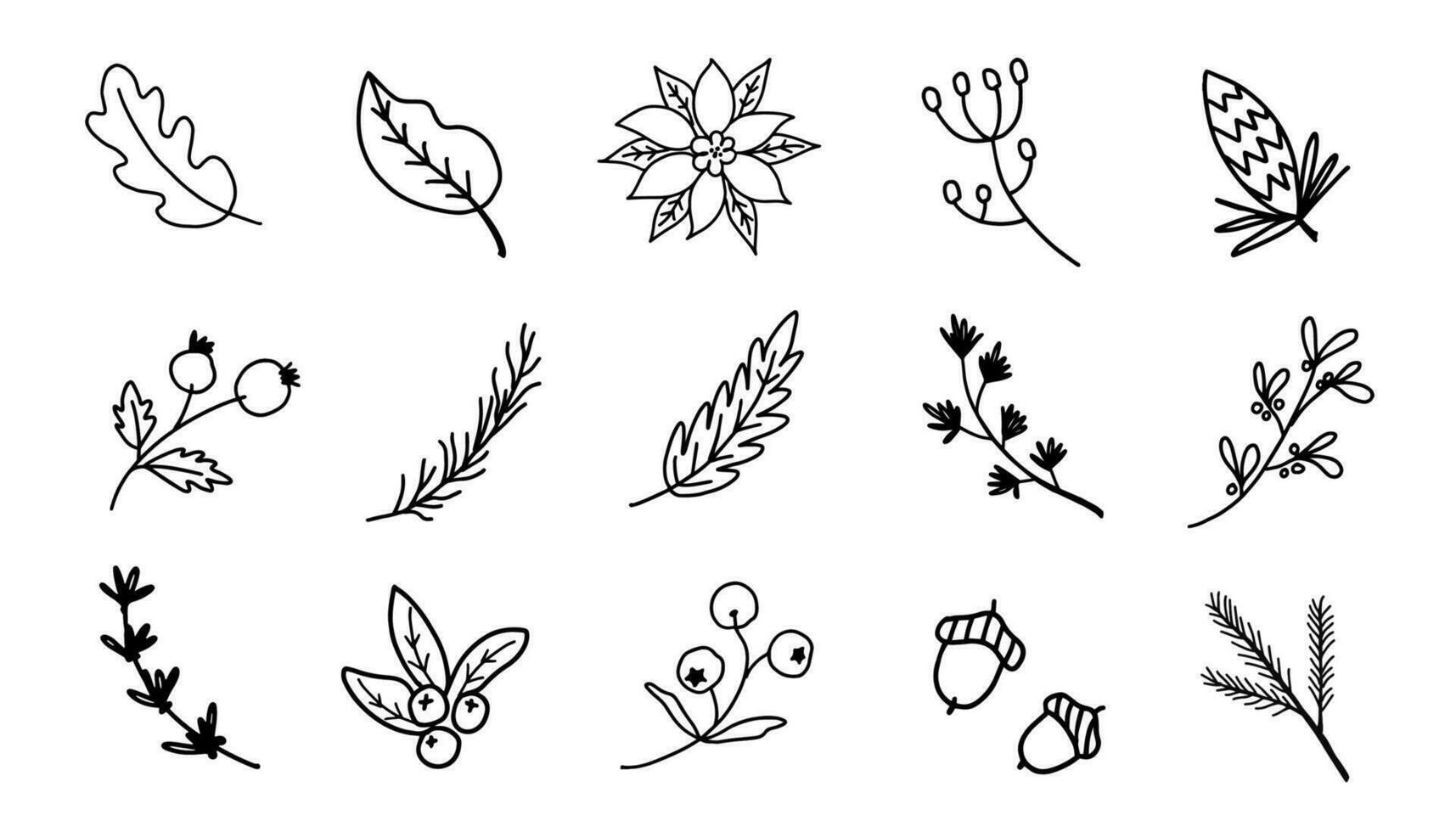 Set of Christmas florals. Festive black outline decorative leaves, flowers and branches. Hand drawn modern vector isolated clipart