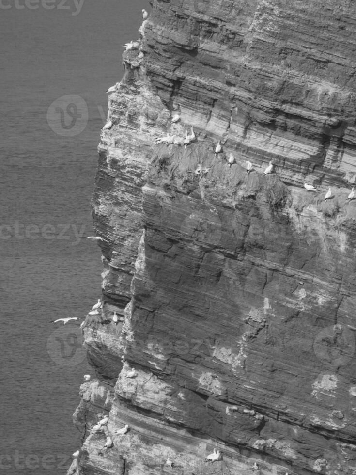 Helgoland island in germany photo