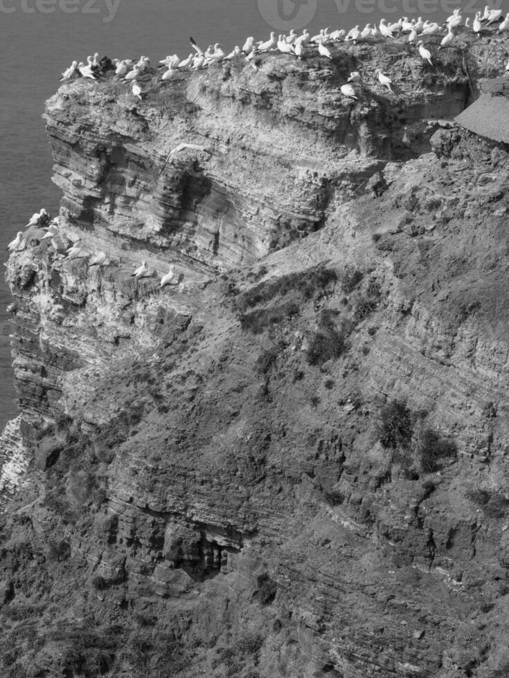 the german island of Helgoland photo