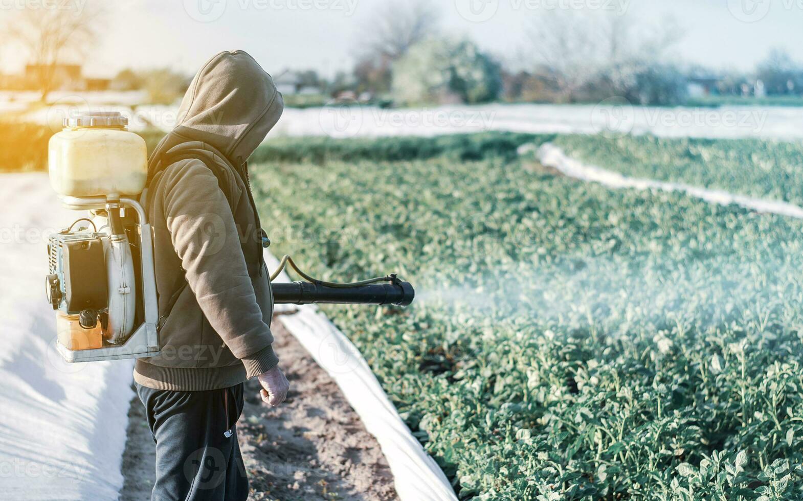 un hombre aerosoles un granja campo. proteccion de plantas. pesticidas y fungicida en agroindustria. salud peligro para consumidores de agrícola productos y comida desde el utilizar de prohibido productos quimicos foto