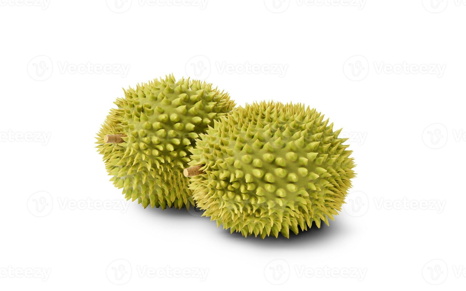 The fruit durian, delicious fruit, 3d rendering. photo
