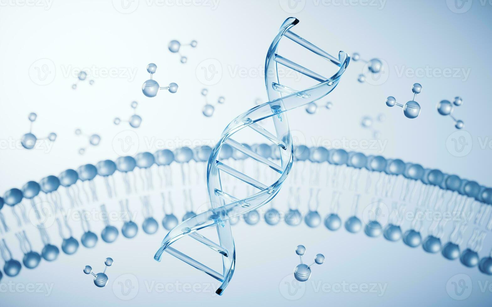 Transparent cytomembrane structure, 3d rendering. photo