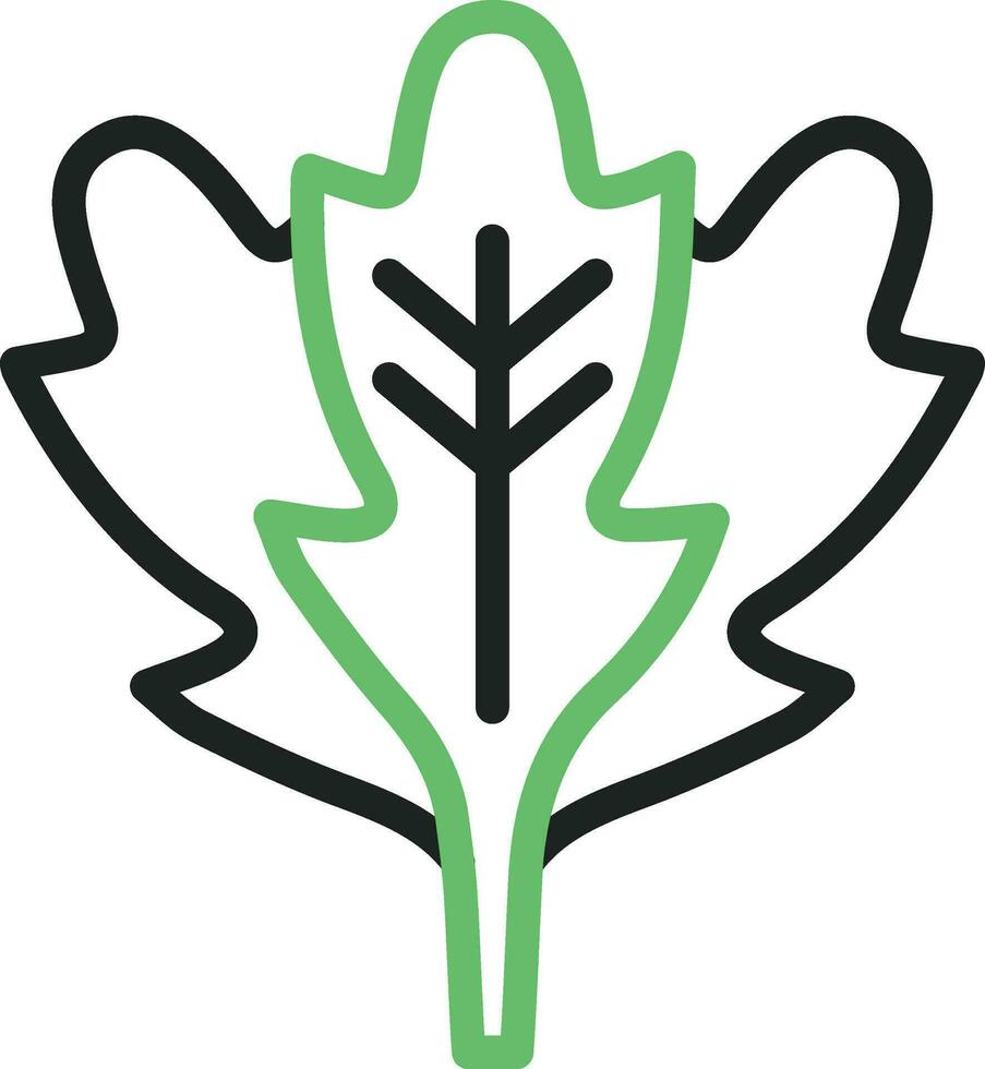 Arugula Icon Image. vector