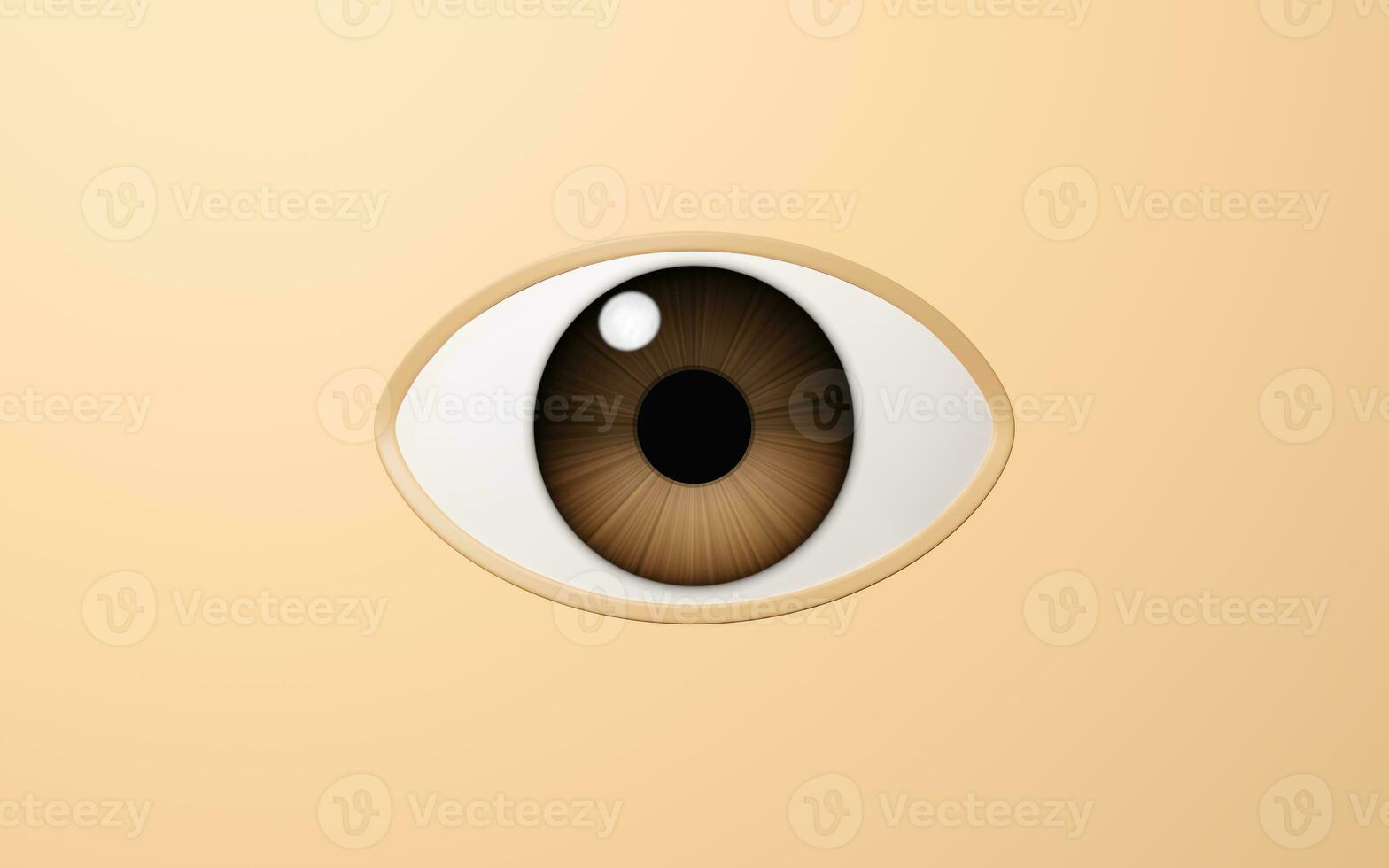 Eyeball and pupil, 3d rendering. photo